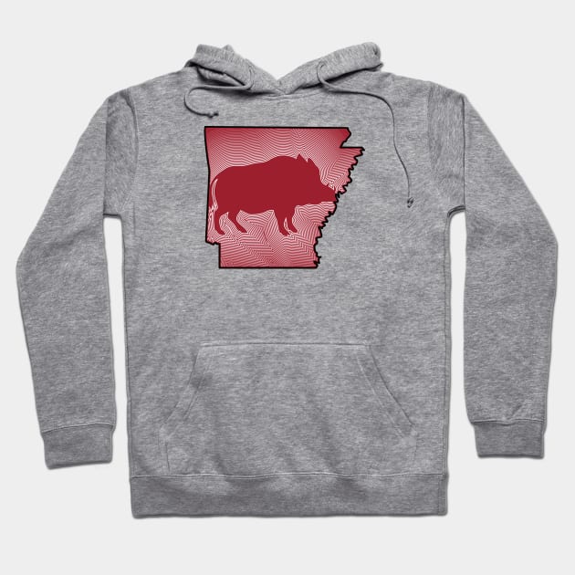 Radiating Hog Hoodie by rt-shirts